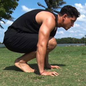 Forward Traveling Apes Animal Flow video