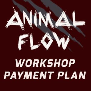 Animal Flow Payment Plan 347