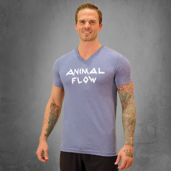 blue v neck mens2 blue v neck mens2