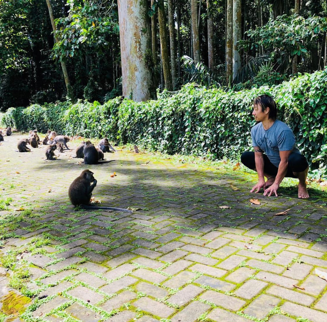 Jin Takazawa's Action Image