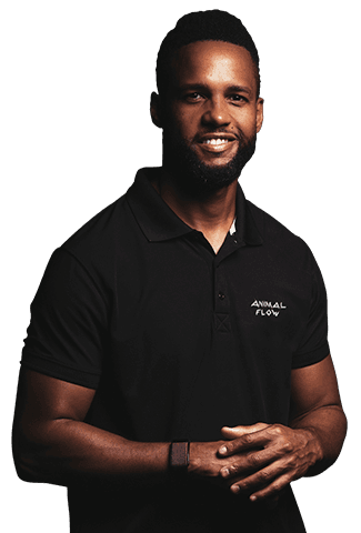 Fernandes Animal Flow