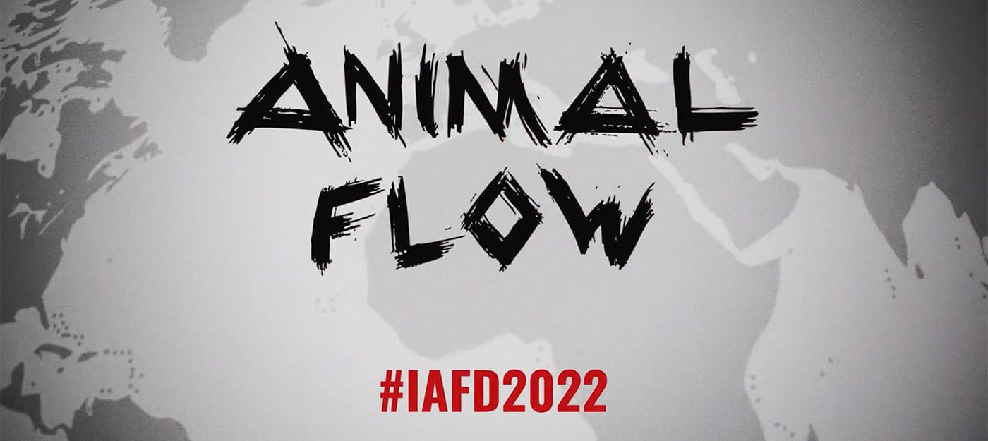 Animal Flow IAFD2022 banner