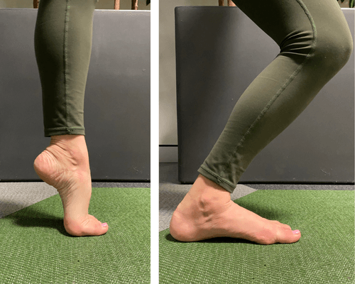 Ankle plantarflexion and dorsiflexion