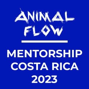 Mentorship Costa Rica Payment 1425