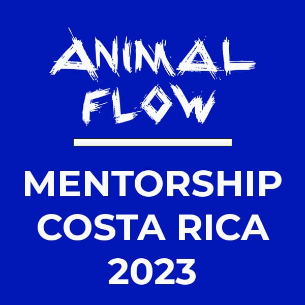 Mentorship-Ticket-2023