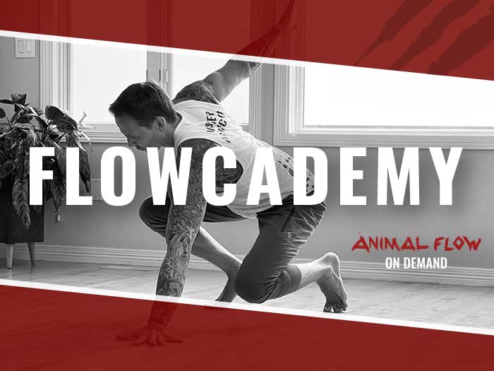 image from latest news post