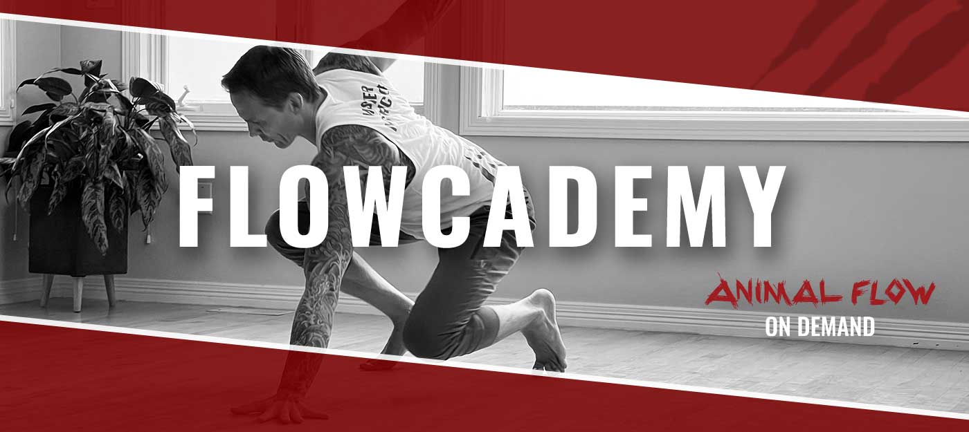 Flowcademy banner
