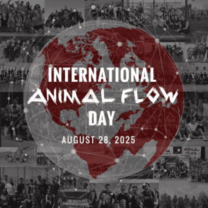 IAFD 2025 Global Jam