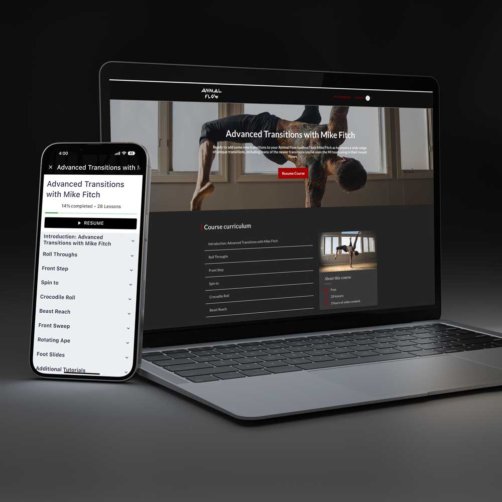 Adv-Trans-Product-Img